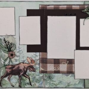 Outdoors - Moose 3